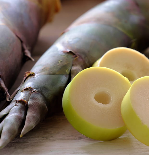 About イメージ画像02