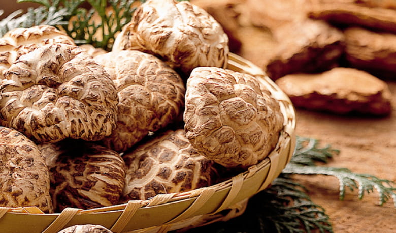 しいたけと加工商品