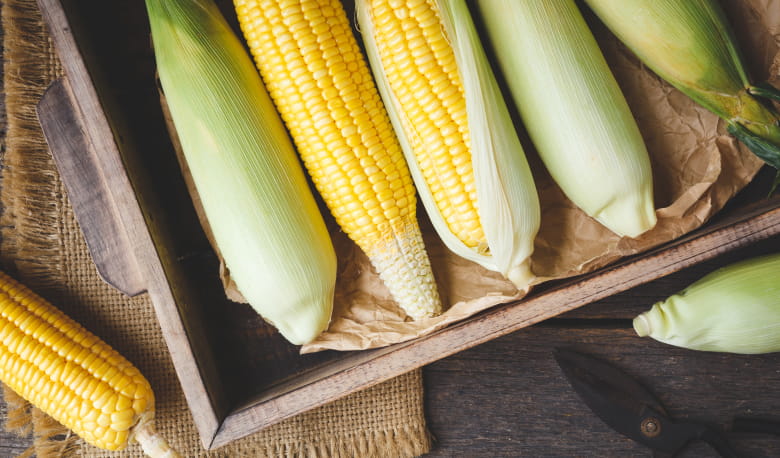 とうもろこしと加工商品